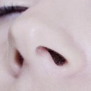 비공이 하이닥
