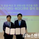 세종디앤비