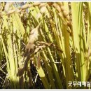 달하산농장