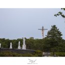 (주)디앤지투어