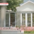 프랑스올리브 이미지