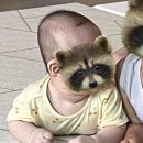 지오크리에이티브 대전충청지사 | 7개월에 시작한 두상교정헬멧 돌아기 후기