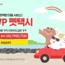 안녕펫택시 이미지