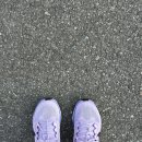 페가수스 | 나이키페가수스41런닝화후기