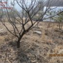 시우보건진료소 이미지