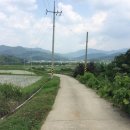 곡성-258 이미지