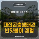 곤충생태관_3 | 반딧불이를 도심에서 볼 수 있다니! 대전 곤충생태관 주말 관람 후기