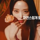 멀츠아시아퍼시픽피티이엘티디 이미지