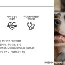 리움동물의료센터 이미지
