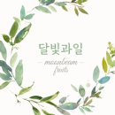 달빛과일 이미지