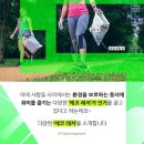 에코레저