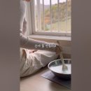 찹쌀미친꽈배기 이미지
