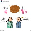 약과시대