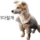 리치몬드제과기술학원 이미지