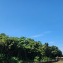 동일리-6 이미지