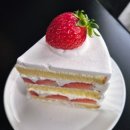 에이치아워 | 수성구 카페 에이치아워 생크림 딸기 케이크 솔직 후기 🍓
