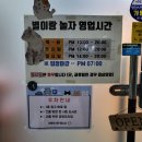 별이랑 놀자 이미지