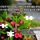 PICTURE&amp;TEXT_20210822_마가복음 8장 35절_&#39;꽃기린&#39;_꽃말_&#39;고난을 깊이 간직하다(예수님의 꽃)&#39; 이미지