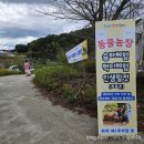 청주 아이와 가볼만한곳 2024 청원생명축제 입장권 혜택 다자녀 무료 체험
