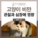24시연동물의료센터 이미지