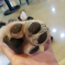 포포앤미루 강동점 이미지