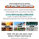 내동농산 이미지