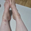 이콰인코리아 이미지