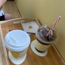 세천로7길 | 대구 짜세프렌즈 애견카페 방문 후기