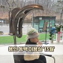 용인 기흥구 동백 미용실 헤어샵 13월 오픈 이벤트 내돈내산 아기 파마 잘하는 곳