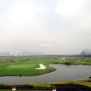 BEST 골프클럽 이미지