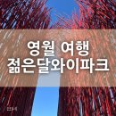 와이 | 영월 추천 여행 젊은달 와이파크 방문 후기 :)