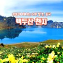 봄에 만나는 힐링 칼림바 | [공지] 2월 하나 포커스 데이｜봄에 만나는 백두산