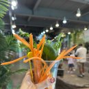 쥬니멀 | 청주동물원 쥬니멀 후기 아이랑 여행 갈만한 곳