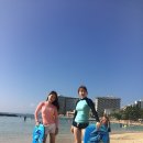 비치 이미지