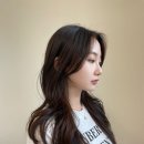 하올디자인 이미지