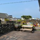 둘하루방 | [숙소후기] 제주 둘하루방_구좌읍 독채펜션