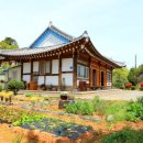 꽃과 한옥 이미지