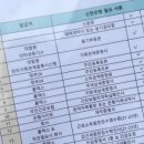 디딤돌부동산중개 이미지