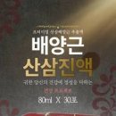 산삼배양근 효능 총정리, 진액 스틱 차이까지 알아봐요 이미지