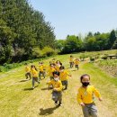 참빛어린이집 이미지