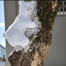 HS부동산중개 이미지