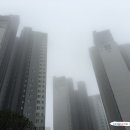 롯데화인약국 이미지