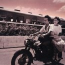 연연풍진 이미지