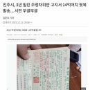 주정차14 이미지