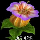 고물 선풍기 한대 뿐이지만 .. 이미지