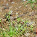 제주하늘지기 이미지