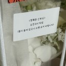 나어떡해 | w1. ws 스튜디오 촬영 후기