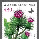 채소꽃