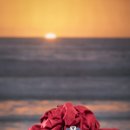 황금공인중개사 이미지