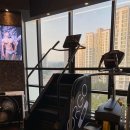 자이언트 피트니스 이미지